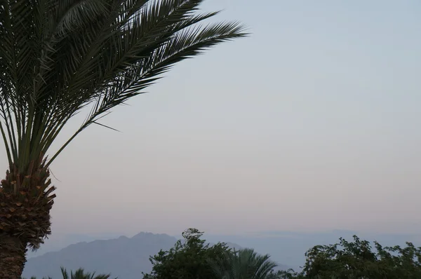 Vista a las montañas de Jordania — Foto de Stock