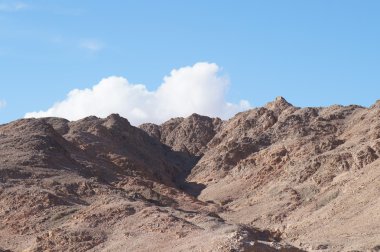 Wadi Shahamon, Eilat