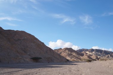 Wadi Shahamon, Eilat