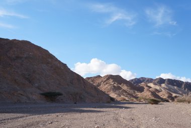 Wadi Shahamon, Eilat