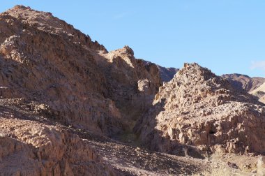 Wadi Shahamon, Eilat