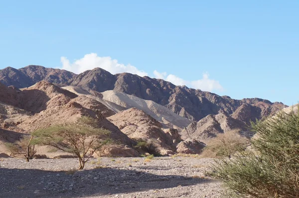 Wadi Shahamon, Eilat — Foto Stock