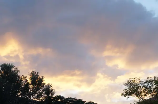 Molnig himmel vid träd — Stockfoto