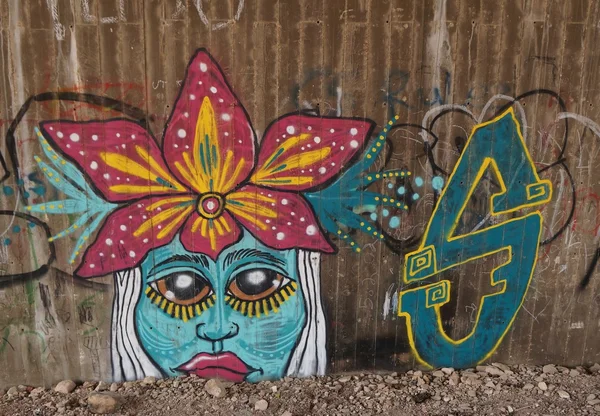 Eilat, Israël 15 février 2015, Graffiti - street art d'un artiste inconnu Photos De Stock Libres De Droits