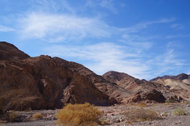 Wadi Shahamon, Eilat