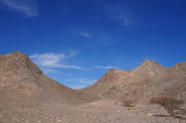 Wadi Shahamon, Eilat — Foto Stock