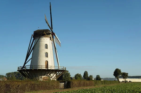 Gammal väderkvarn, Belgien — Stockfoto