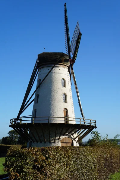 Gammal väderkvarn, Belgien — Stockfoto