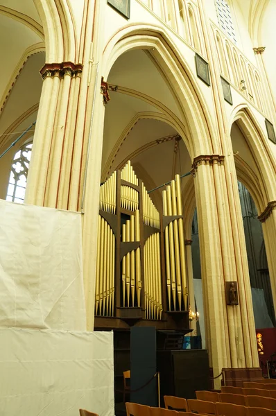 L'orgue de la cathédrale Saint-Sauveur, Bruges — Photo