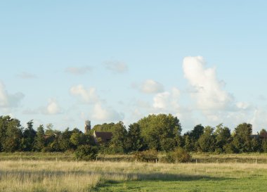 Hollanda tarım arazileri görünümü