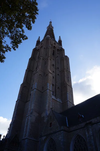 Gotische gebouwen in Brugge — Stockfoto