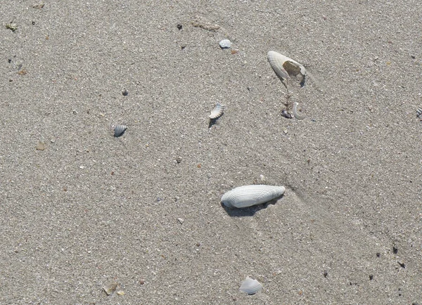 Gray wet sand background — Stock Photo, Image