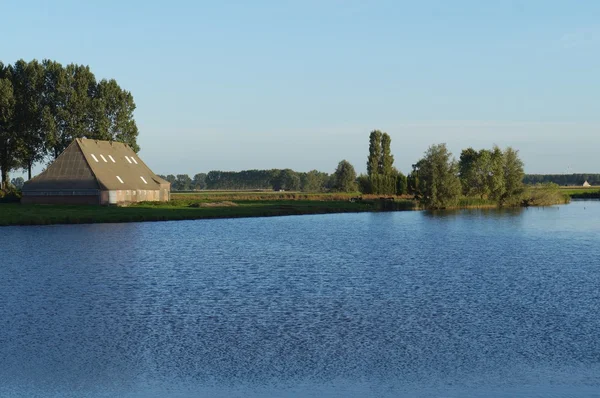 Farmland view in Netherlands — Stock Photo, Image