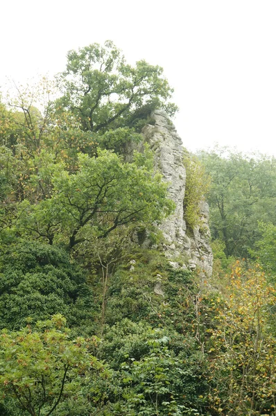 Granite cliff in Comblain-au-Pont — Stock Photo, Image
