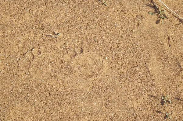 İki ayak izleri ile kum arka plan
