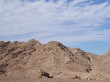 Wadi Shahamon, Eilat