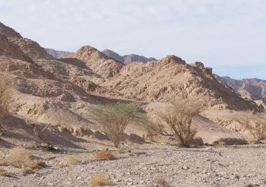 Wadi Shahamon, Eilat