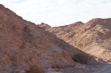 Wadi Shahamon, Eilat