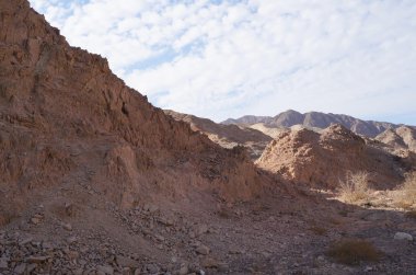 Wadi Shahamon, Eilat