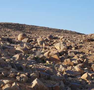 Küresel Nahal Keidar, Güney İsrail kayalarda