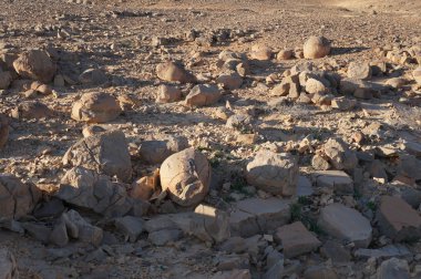 Küresel Nahal Keidar, Güney İsrail kayalarda