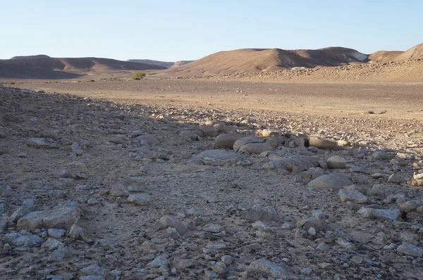 Kugelförmige Felsen im Nahal Keidar Reservat — Stockfoto