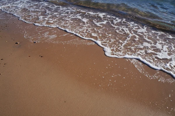 Plage de sable avec mousse de mer — Photo