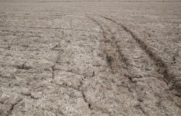 Wheel tracks on dirt Stock Photo