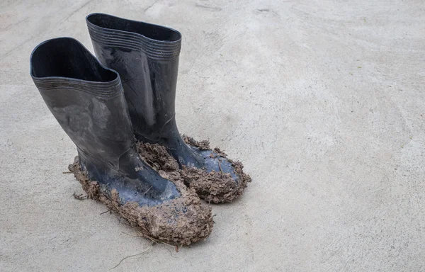 Muddy rubber a boots — Stock Photo, Image
