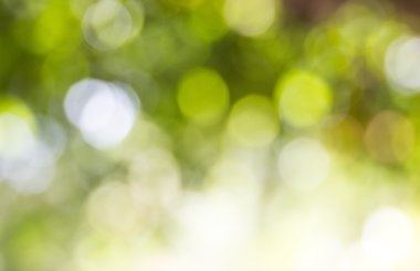 bokeh ile doğal yeşil Mevsimlik arka plan 