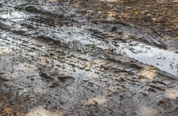 Pista de neumáticos seca —  Fotos de Stock