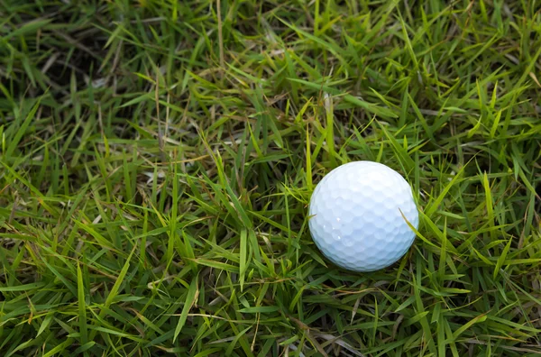 Golf ball on green grass background — Stock Photo, Image