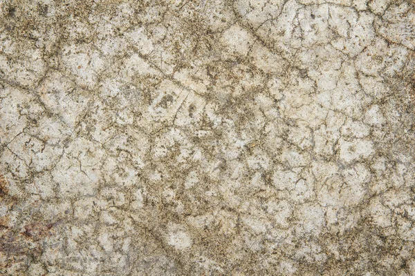 Sfondo beige di texture muro di cemento . — Foto Stock