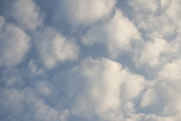 Cloudy blue sky abstract background — Stock Photo, Image