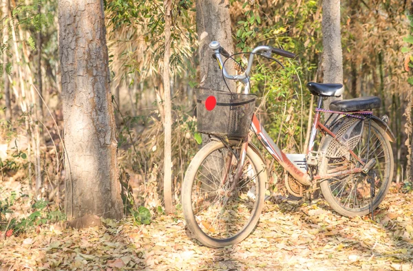 Schönes Landschaftsbild mit Fahrrad — Stockfoto