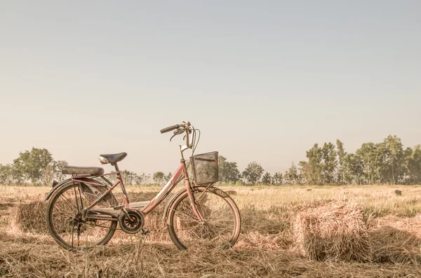 Hermosa imagen de paisaje con bicicleta — Foto de Stock