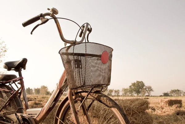 Schönes Landschaftsbild mit Fahrrad — Stockfoto