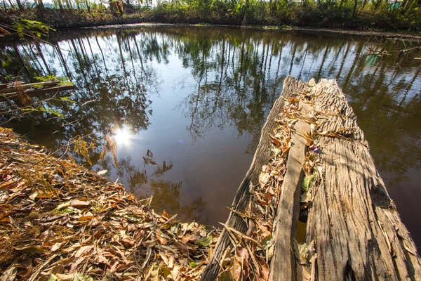 Jetty étang dans les bois — Photo