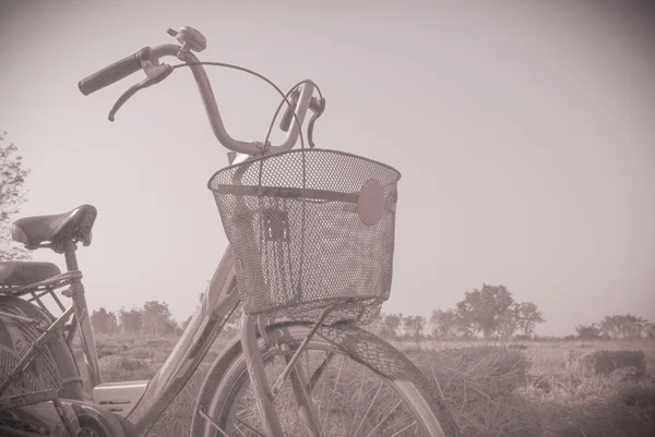 Schönes Landschaftsbild mit Fahrrad alt — Stockfoto