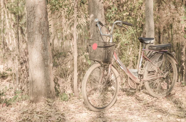 Hermosa imagen de paisaje con bicicleta vieja — Foto de Stock