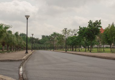 güzel uzun boylu tre ile dizilmiş egzersiz için yaya geçidi