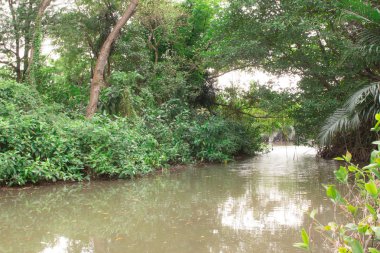 Sonbahar sezonu Park'taki nehir yolu