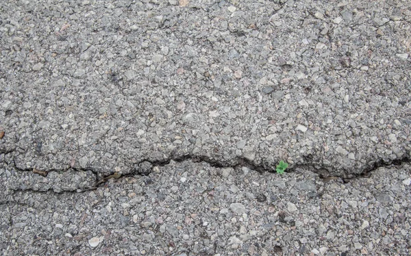 Groen gras op achtergrond textuur van ruwe asfalt — Stockfoto