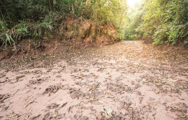 Camino a la naturaleza del destino solar . — Foto de Stock