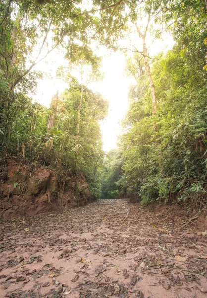 Estrada para a natureza do destino solar . — Fotografia de Stock