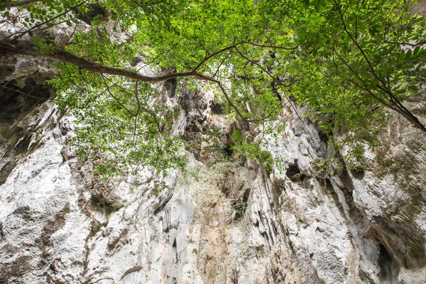 Enchanting tropical mountain cave, Sam Roi Yot, Thailand — Stock Photo, Image