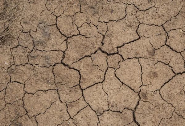 Fondo seco de tierra agrietada — Foto de Stock