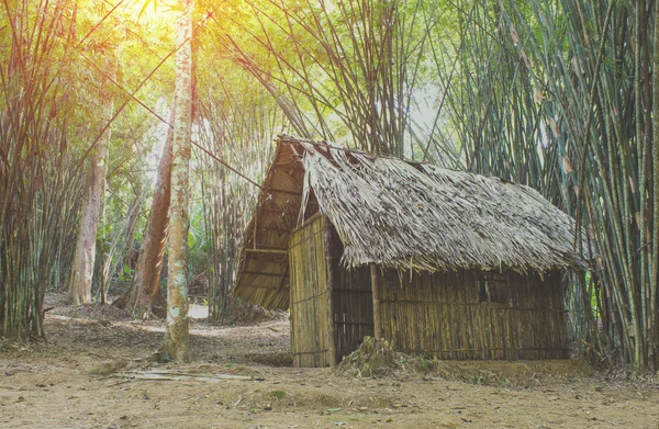 Cottage In the bamboo forest. Vintage filter. — Stock Photo, Image