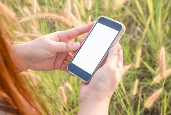 Vrouw met behulp van een Smartphone op gras bloemen achtergrond — Stockfoto