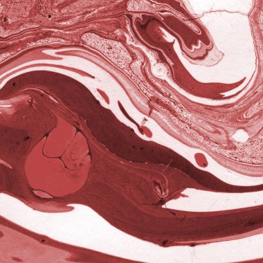 Boya desenli kırmızı mermer arkaplan